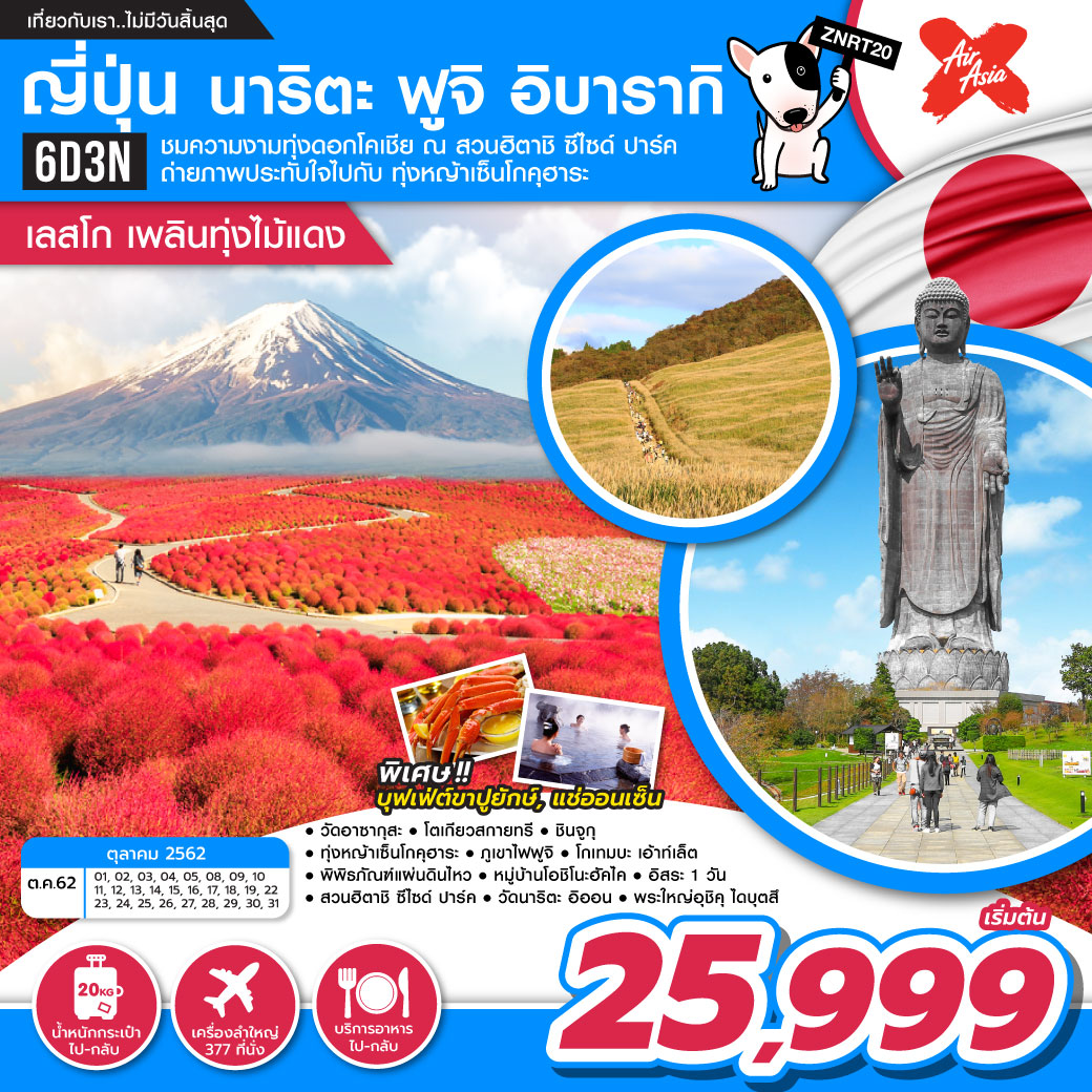 ทัวร์ญี่ปุ่น นาริตะ ฟูจิ อิบารากิ เลสโก เพลินทุ่งไม้แดง 5 วัน 3 คืน (OCT-NOV19) (ZNRT20)